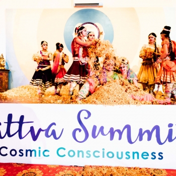 Z4A8726_Sattva-Summit-2019_DJP-1